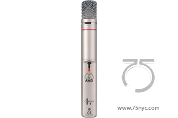 Enlarged view of image